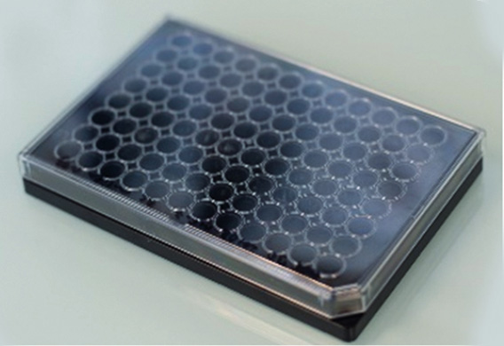 Artificial tumour kit® in ready-to-use microplates